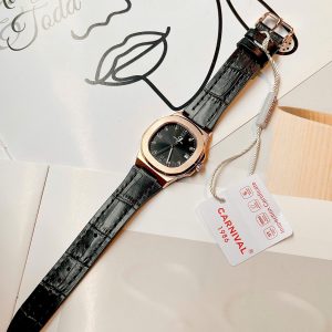 carnival 8160l vh dd d 6003 3