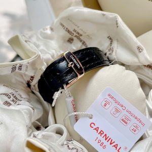 carnival 8160l vh dd d 6003 5